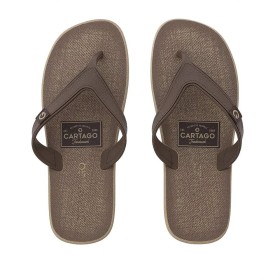 Chinelo Sandalia Ipanema Cartago Dakar Bege C/ Marrom