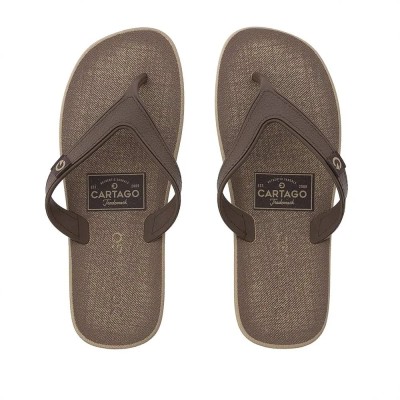 Chinelo Sandalia Ipanema Cartago Dakar Bege C/ Marrom