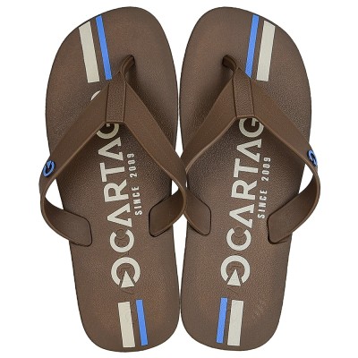 Chinelo Sandalia Ipanema Cartago Atlanta Marrom