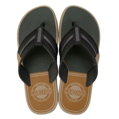 Chinelo Sandalia Ipanema Cartago Palermo Bege C/ Preto e Verde