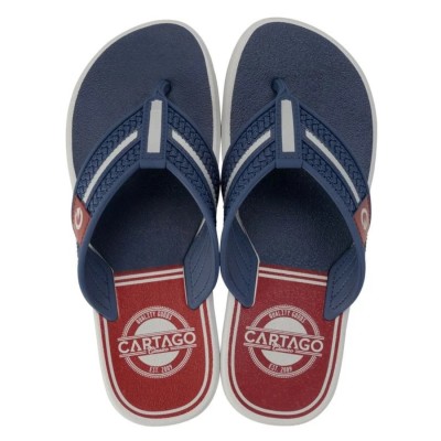 Chinelo Sandalia Ipanema Cartago Palermo Cinza C/ Azul e Vermelho