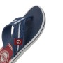 Chinelo Sandalia Ipanema Cartago Palermo Cinza C/ Azul e Vermelho