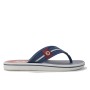 Chinelo Sandalia Ipanema Cartago Palermo Cinza C/ Azul e Vermelho