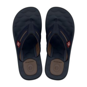 Chinelo Sandalia Ipanema Cartago Egeu Azul C/ Marrom