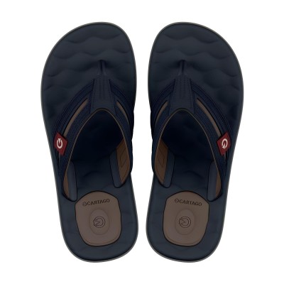 Chinelo Sandalia Ipanema Cartago Egeu Azul C/ Marrom
