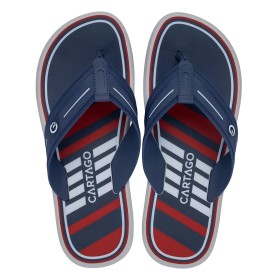Chinelo Sandalia Ipanema Cartago Palermo Cinza e Azul C/ Vermelho