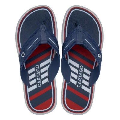 Chinelo Sandalia Ipanema Cartago Palermo Cinza e Azul C/ Vermelho