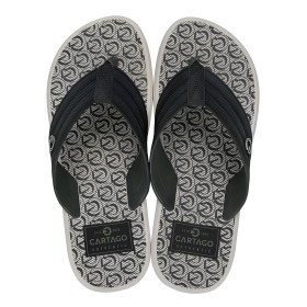 Chinelo Sandalia Ipanema Cartago Montreal Bege e Verde C/ Cinza