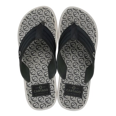 Chinelo Sandalia Ipanema Cartago Montreal Bege e Verde C/ Cinza