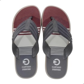 Chinelo Sandalia Ipanema Cartago Montreal Cinza e Bassalto com Bordo