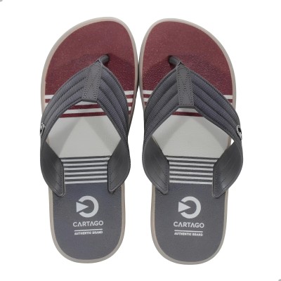 Chinelo Sandalia Ipanema Cartago Montreal Cinza e Bassalto com Bordo