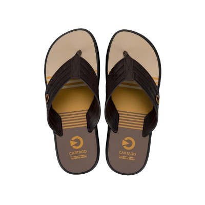 Chinelo Sandalia Ipanema Cartago Montreal Marrom com Amarelo