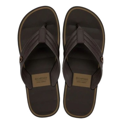 Chinelo Sandalia Ipanema Cartago Monterrey Marrom C/ Castor
